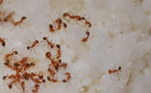 �й����꼶���ϵ�����300�ּ���5ƪ