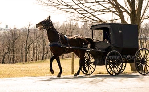 东野稷驾马车的故事