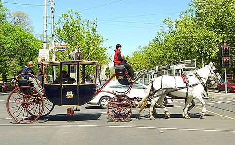 ������ɢ��