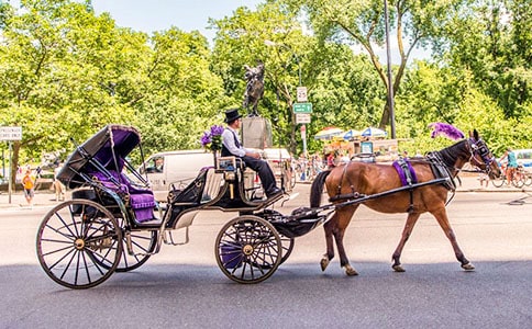 �����С�����������