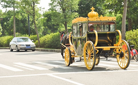 ѧ�����ģ������Ĺ���