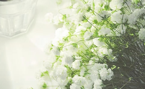 ̧ͷ����������¼