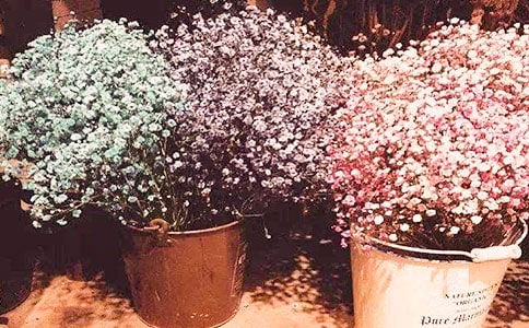 ���������ģ�ͨ��33ƪ��