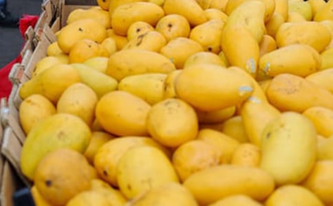 �յ���â��������