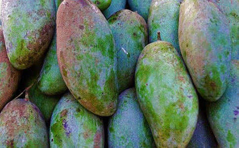 â�������ġ����š�