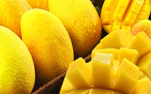 â�������ģ�����