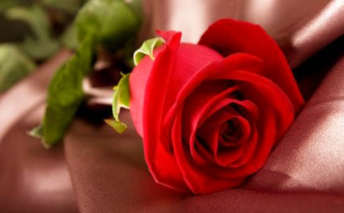 ��ʵ�á����꼶õ�����Ľ���10ƪ