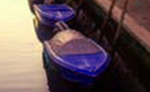 �й����꼶��������7ƪ