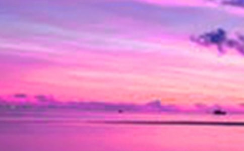 ���꼶��������300�ֺϼ�9ƪ