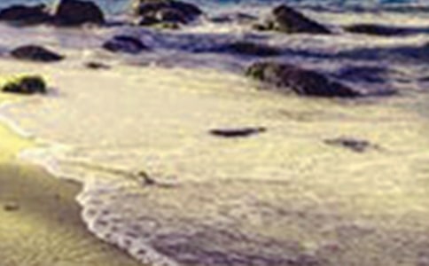 ���꼶�����������