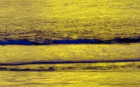 �������꼶����15ƪ