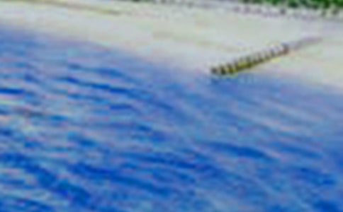 有关四年级美景作文300字六篇