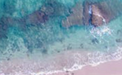 描写草原美景的好词好句