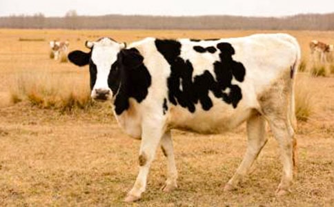 �ҵ���ţ���