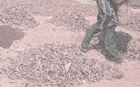 小学生做农活心得体会(精选26篇)