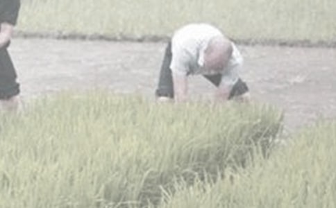 农活的解释及造句