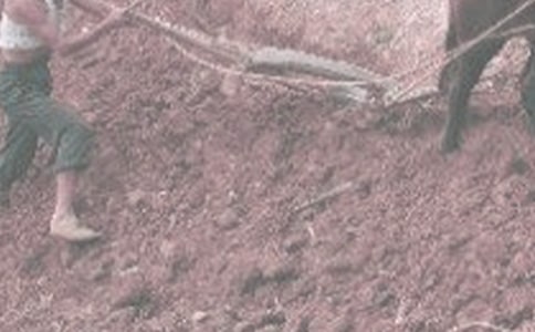 参加学农活动的个人心得体会(通用10篇)