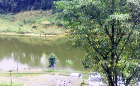 ũ���ֱ���