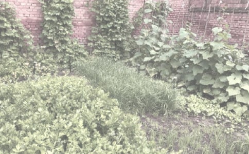 ũ��������