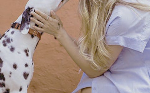 �ʺ�Ů�Ե�������