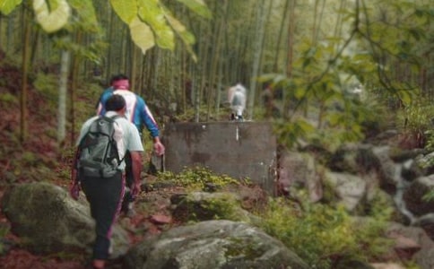 �������ɽ���ռǣ���ѡ52ƪ��