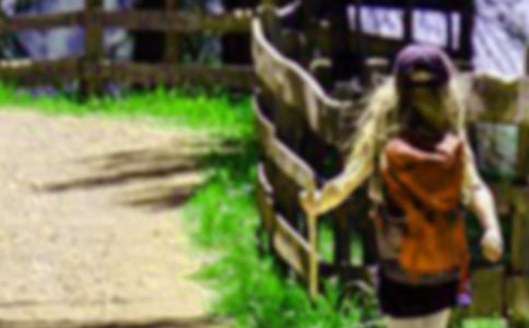 ʵ�õ����꼶��ɽ����300�ֺϼ���ƪ