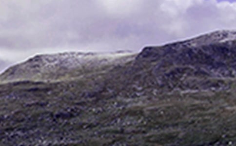 关于三年级爬山作文三篇