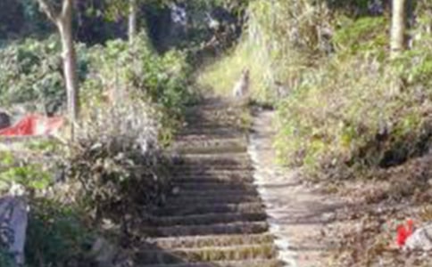 ��ɽ���Ľ������ѧ���