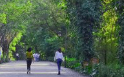 人教版四年级上册《爬山虎的脚》教案