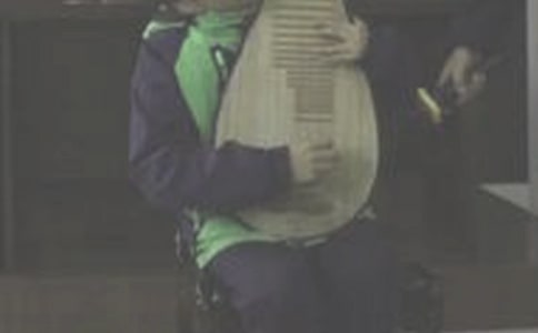 《琵琶歌》古诗