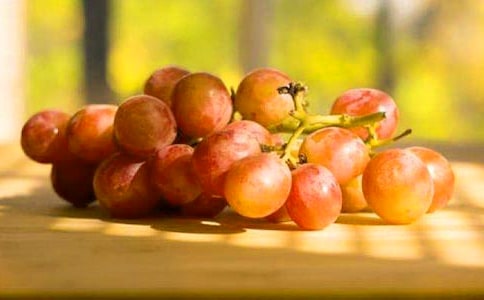 ������ɢ��