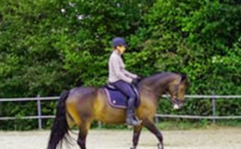 �������ܼǷ���