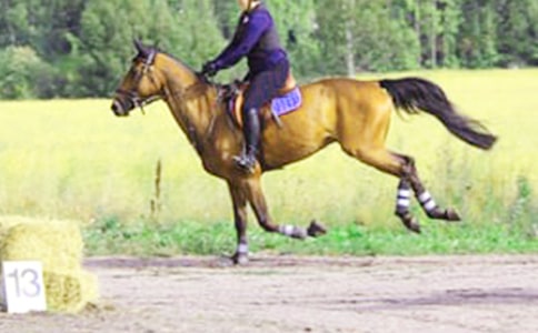 骑马过独木桥歇后语锦集