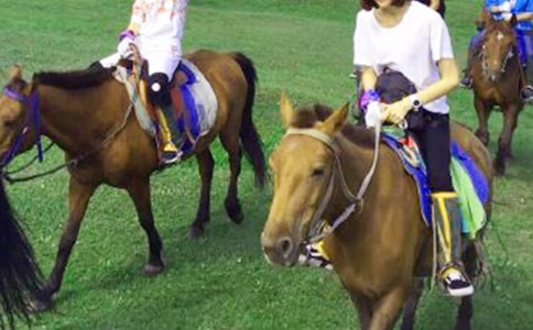 ���������ĳ������