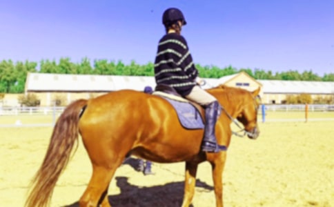 ȥ�������ĸ���