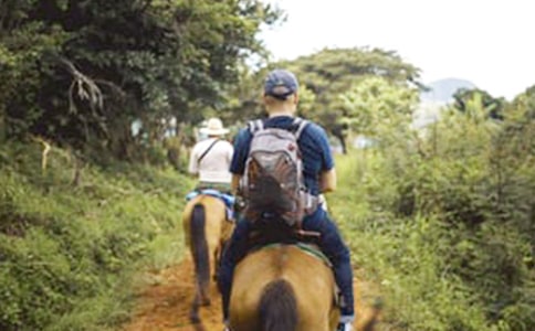 ��һ���������ġ��ȡ�