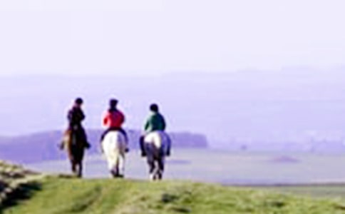 ��һ���������ġ��Ƽ���