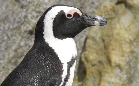 ��������쵺����ѧ���