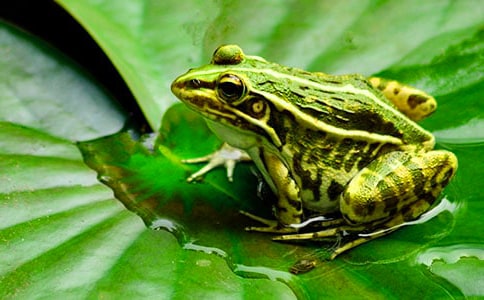 �������ܶ��꼶����300�ֽ�����ƪ