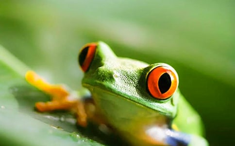 ��ѡ���꼶���ܵ����Ļ��8ƪ