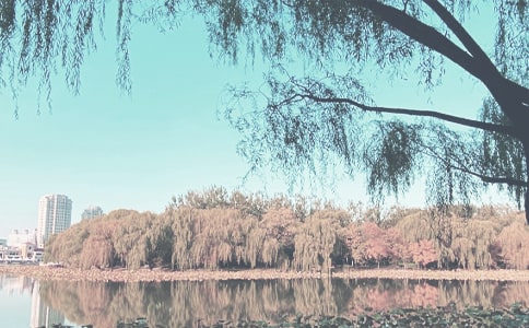 我最喜欢秋季作文(4篇)