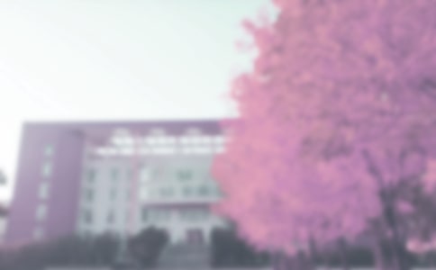 �＾ɭ�ַ������340��