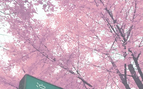 大班秋季工作计划