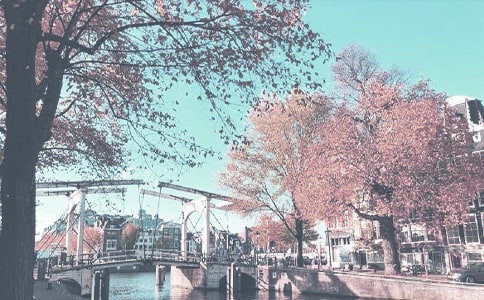 �������㣬���＾ɢ��