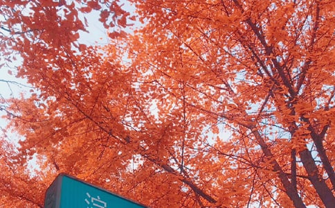 ����֮��ɢ��