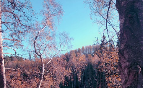 ����˽�����꼶����