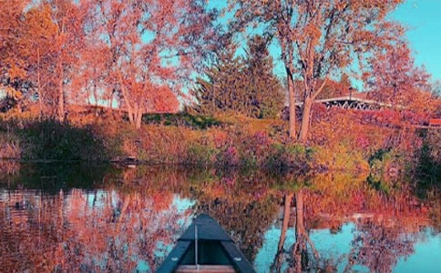 ����˽���ɢ�����