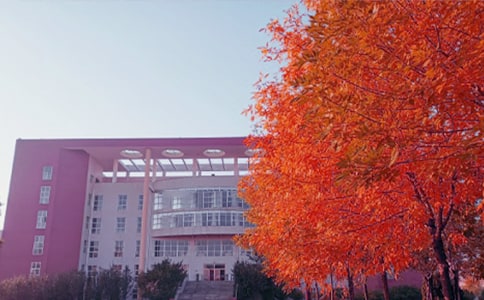 �ִ�ʫ������ϼ����ѡ8�ף�