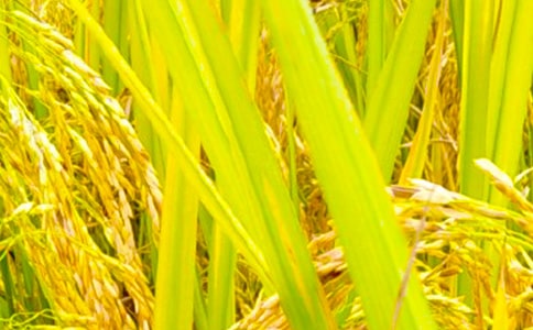 �������յ��ռǷ���