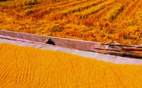 �����Ͷ�����600�֣�ͨ��20ƪ��